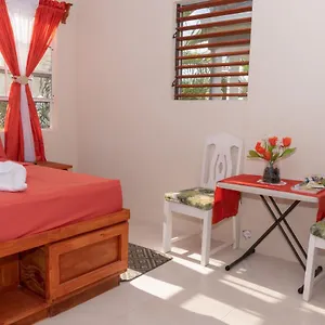 Apartment Edtricias, Christ Church